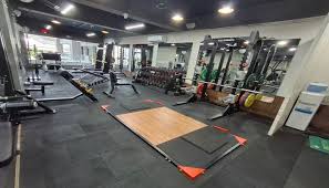 Bewolf Fitness