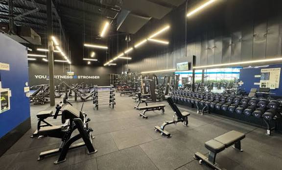 SARRANI WELLNESS LLP