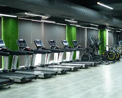 Stallions Fitness
